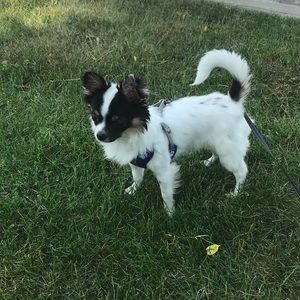 Meet your Posher, Sandra